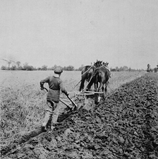 Boy ploughing at Dr. Barnardo’s Industrial Farm, Russell, Manitoba, 1900. In 2010, the photo was reproduced on a Canadian postage stamp commemorating Home Children emigration.