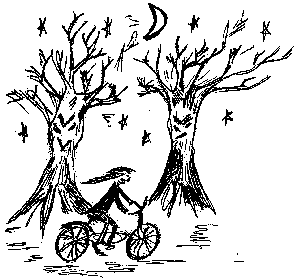 's avonds op de fiets