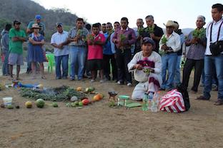 Oaxaca Indigenous Rights