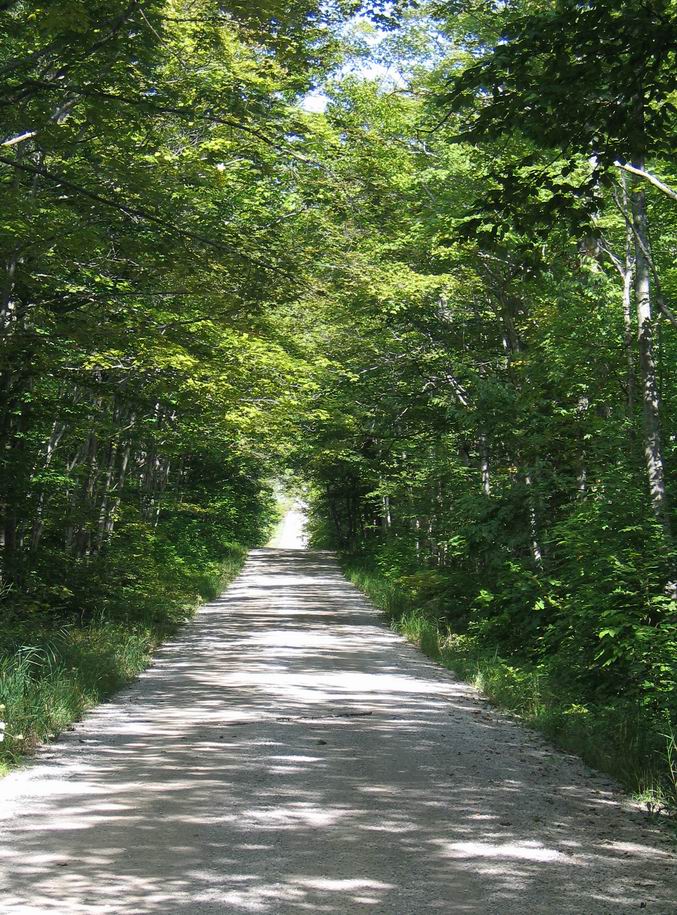 picture of a country road